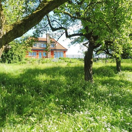 Kleine Villa Im Wilden Garten غومرسباخ المظهر الخارجي الصورة